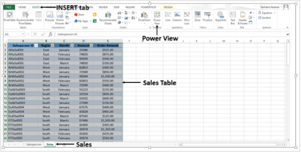 Sales Table Power View