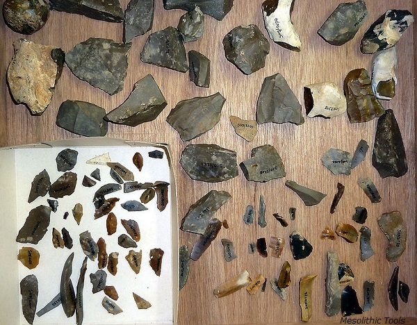 Mesolithic Tools