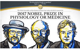 Nobel Prize in Physiology