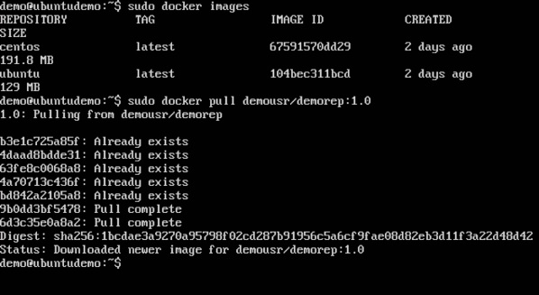 Docker Pull Command