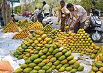 Mango City of Bengal