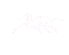 Learn Apache ANT