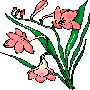 Beautiful Flowers Clipart 25