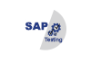 Learn SAP Testing