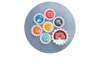 Learn Website Development