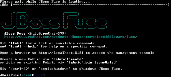 Install Project in Fuse