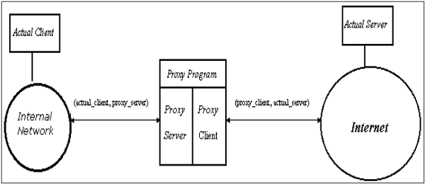 Application-specific Proxies