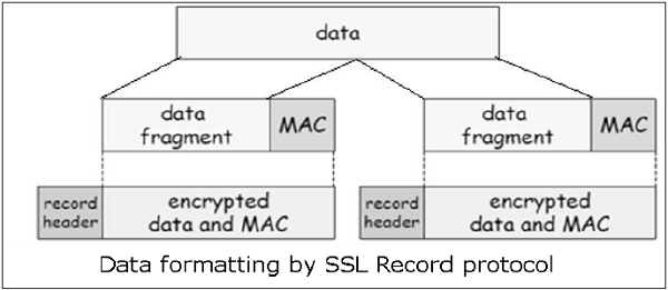 SSL Protocol Functions