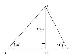 Height & Distance Solution 24
