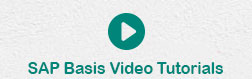 SAP Basis Video Tutorials