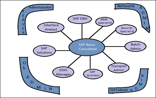 SAP Basis Consultant
