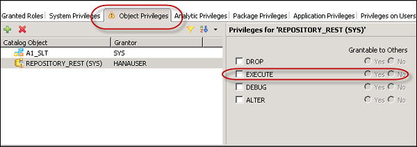 Object Privilege