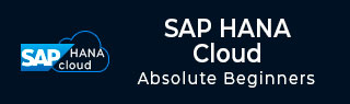 SAP HANA Cloud Tutorial