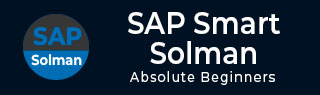 SAP Solman Tutorial