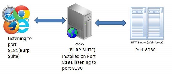 BURP Suite Download.