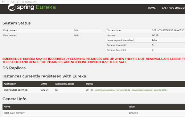 Setting up Eureka Client for Instance