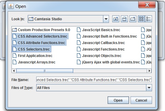Show Open file dialog with Multi-Select