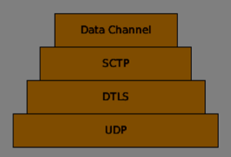 SCTP Model