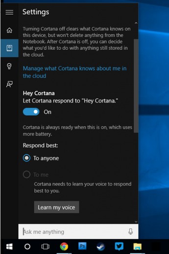 Cortana Window