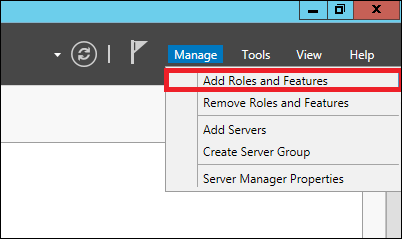 Add Roles Features