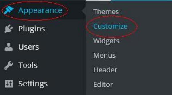 WordPress Customize Theme
