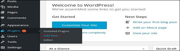 wordPress install plugins