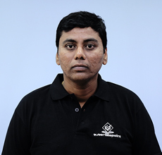 Srinivas Mamidi