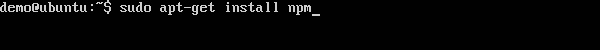 Install npm