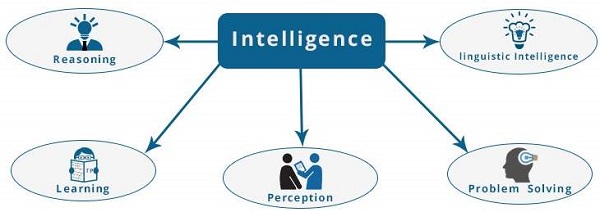 Components of Intelligence