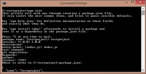 Npm Init Output