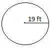 Circle Diameter Quiz 1