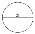 Circumference Quiz 2_1