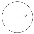 Circumference Quiz 2_5