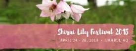 Shirui Lily Festival
