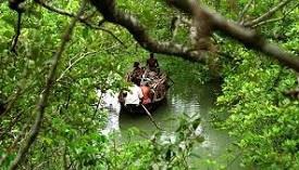 Sunderban Reserve