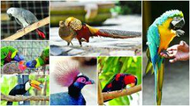 Essel World Bird Park