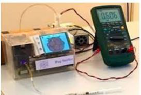 Detection of Pathogens