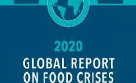 Global Annual Report