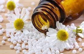 World Homoeopathy Day