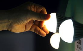 LED Bulbs