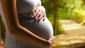 Maternity Benefits