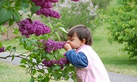 Touch-and-Feel Garden