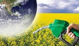 World BioFuel Day