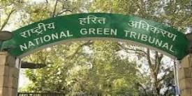 National Green Tribunal