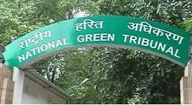 National Green Tribunal