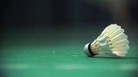 South Asian Regional Badminton