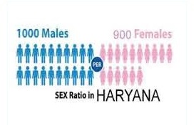 Haryana Government Panipat