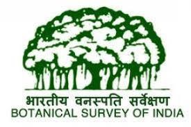 Botanical Survey