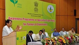 Agri Export Policy
