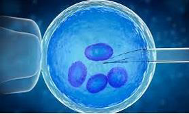 Assisted Reproductive Technology